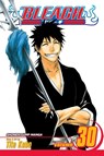 Bleach, Vol. 30 - Tite Kubo - 9781421523880