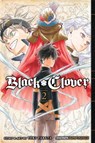 Black Clover, Vol. 2 - Yuki Tabata - 9781421587196