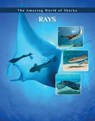 Rays - ROSEBOROUGH,  Elizabeth - 9781422241295