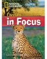 Cheetahs in Focus - National Geographic ; Rob Waring - 9781424012107