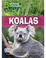 Koalas - National Geographic ; Rob Waring - 9781424012176