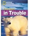Polar Bears in Trouble - National Geographic ; Rob Waring - 9781424012312
