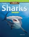 Amazing Animals Sharks - LACEY,  Saskia - 9781425857431