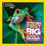 Little Kids First Big Book of The Rainforest - National Geographic Kids ; Moira Rose Donohue - 9781426331718