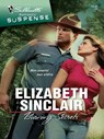 Burning Secrets - Elizabeth Sinclair - 9781426826764