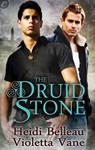 The Druid Stone - Heidi Belleau ; Violetta Vane - 9781426894190