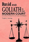 David and Goliath in the Modern Court - Virgilio J. Santiago - 9781426945717