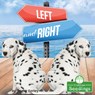 Left and Right - Taylor Farley - 9781427128522
