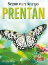 Prentan (Spring) - Amy Culliford - 9781427137777