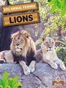 Lions - Amy Culliford - 9781427160423