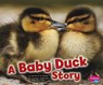A Baby Duck Story - Martha E. H. Rustad - 9781429670913