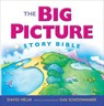 The Big Picture Story Bible - David R. Helm - 9781433543111