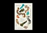 Crisis of Confidence - Carl R. Trueman - 9781433590016