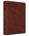 ESV Gospel Transformation Study Bible - Paul F. M. Zahl - 9781433595639
