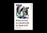 Where Is God in a World with So Much Evil? - Collin Hansen - 9781433598005