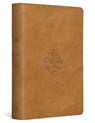 ESV Student Study Bible - T. Desmond Alexander - 9781433598258