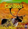Caribou - Roman Patrick - 9781433938979