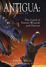 Antigua - Larry Ellis ; Denise Brown Ellis - 9781434314000