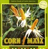 Corn/Maiz - GONZALES,  Doreen - 9781435827233
