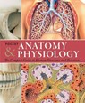 Pocket Anatomy & Physiology - ASHWELL,  Ken, Ph.d. - 9781438009056