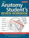 ANATOMY STUDENTS REVIEW WORKBK - Ken Ashwell - 9781438011905