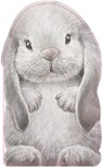 Furry Bunny - Annie Auerbach - 9781438050119