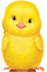 Furry Chick - Annie Auerbach - 9781438050126