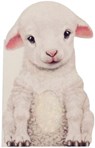 Furry Lamb - Annie Auerbach - 9781438050133
