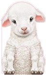 Furry Lamb - Annie Auerbach - 9781438050133