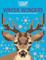 Color Quest: Winter Wonders: Extreme Color-By-Number Pictures to Reveal - Daniela Geremia - 9781438089515