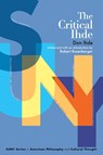 The Critical Ihde - Don Ihde - 9781438492605