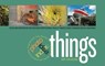Photo Idea Index - Things - Jim Krause - 9781440319457