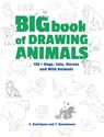 Big Book of Drawing Animals - P. Rodriguez ; T. Beaudenon - 9781440350719