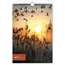 Saskia Boelsums verjaardagskalender - Comello - 9781441310026