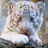 ZooBorns! - Andrew Bleiman ; Chris Eastland - 9781442436763