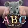 ABC ZooBorns! - Andrew Bleiman ; Chris Eastland - 9781442443730