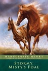Stormy, Misty's Foal - Marguerite Henry - 9781442488021