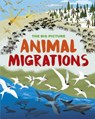 The Big Picture: Animal Migrations - Jon Richards - 9781445169873