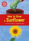 Reading Champion: How to Grow a Sunflower - Sarah Snashall - 9781445174976