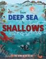 From Deep Sea to Shallows: The Story of Oceans - Ben Hubbard - 9781445195360