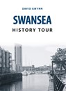 Swansea History Tour - David Gwynn - 9781445673165