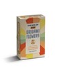 The Box of Mini Origami Flowers -  - 9781446317600