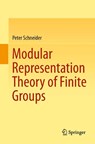 Modular Representation Theory of Finite Groups - Peter Schneider - 9781447148319