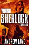 Stone Cold - Andrew Lane - 9781447228011