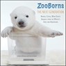 ZooBorns The Next Generation - Andrew Bleiman ; Chris Eastland - 9781451661620