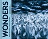 Wonders - Rhonda Rubinstein - 9781452164670