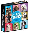 We Rate Dogs! the Card Game - For 3-6 Players, Ages 8+ - Fast-Paced Card Game Where Good Dogs Compete to Be the Very Best - Based on Wildly Popular @W -  - 9781452173856