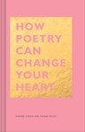 How Poetry Can Change Your Heart - Andrea Gibson ; Megan Falley - 9781452177403