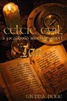 Celtic Evil A Fitzgerald Brothers Novel: Ian - Sierra Rose - 9781452318080