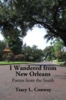 I Wandered from New Orleans: Poems from the South - Tracy L. Conway - 9781452475950